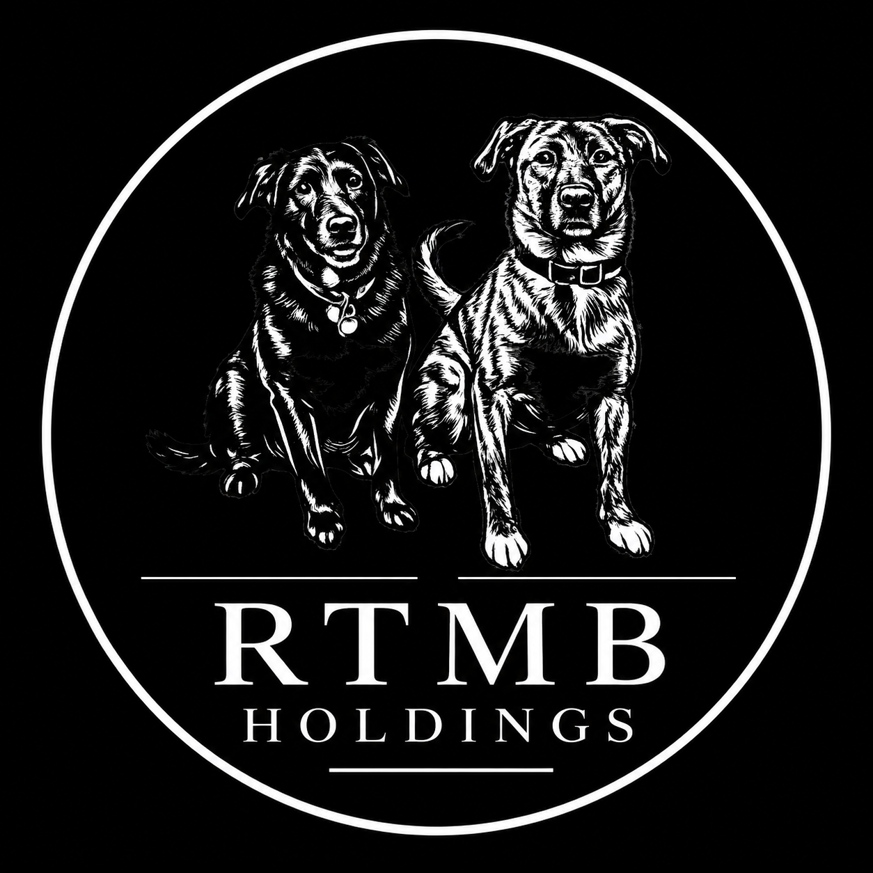 RTMB Holdings LLC logo